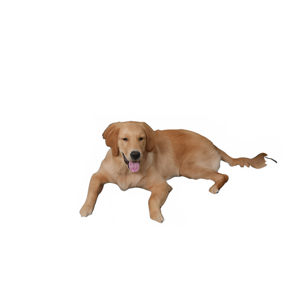 26b614f4-5390-4aef-8bfe-ba9a86a16b78