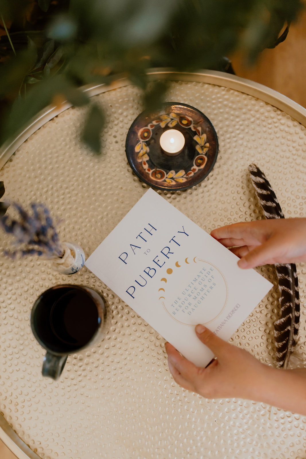 Path to Puberty Book